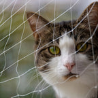Cat Safety Net - Prevents Pet Falls and Escapes