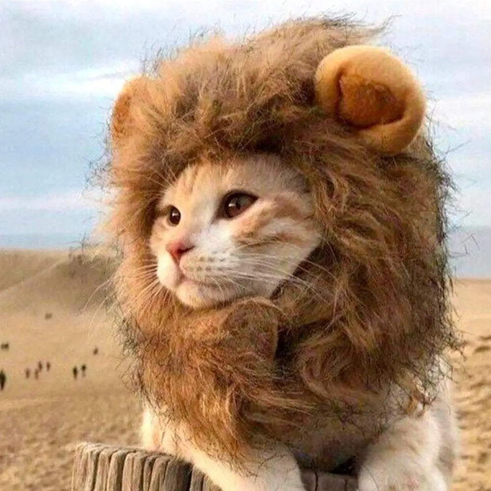 Cat Hairpiece Humorous Lion