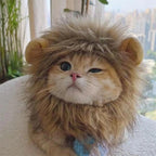 Cat Hairpiece Humorous Lion