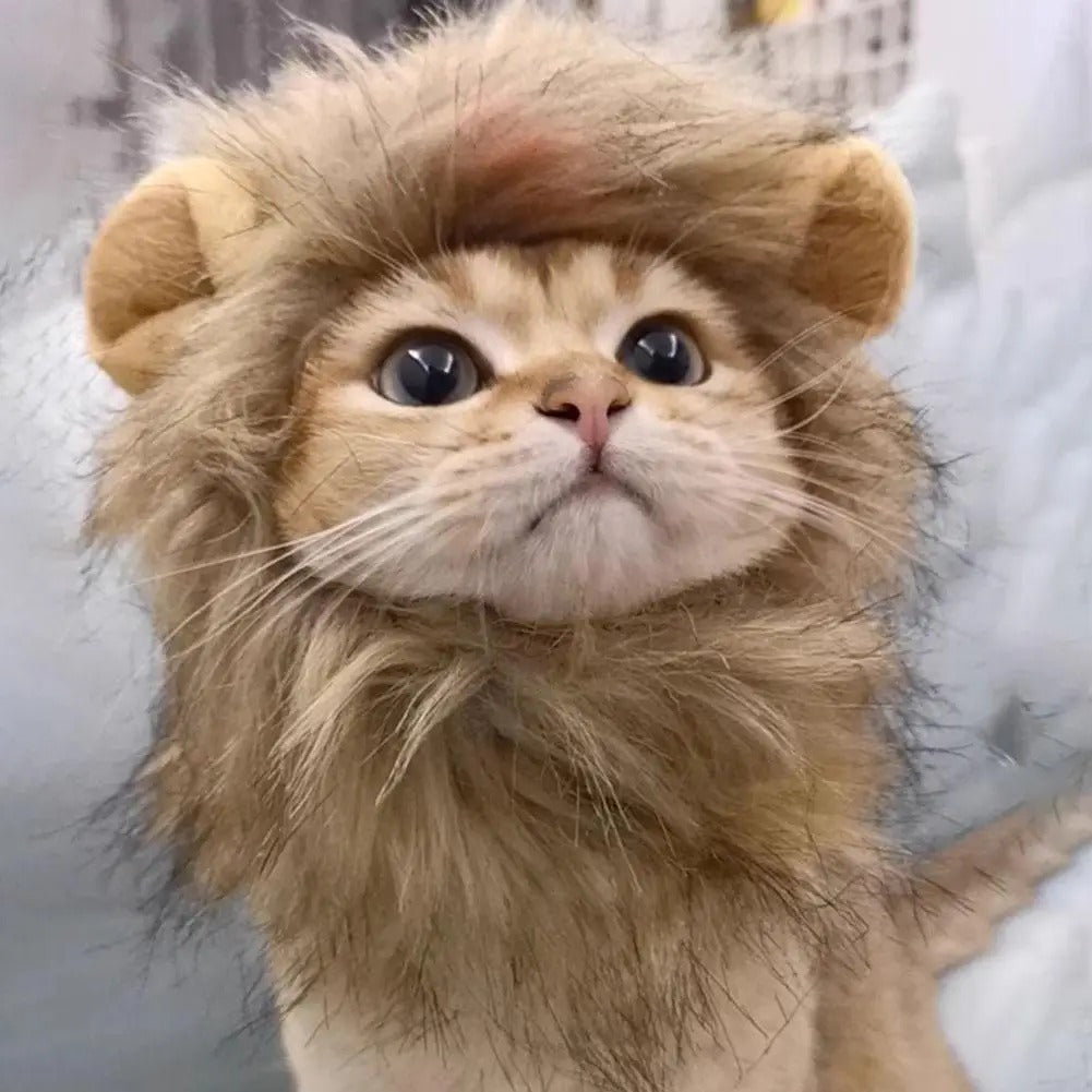 Cat Hairpiece Humorous Lion