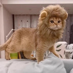 Cat Hairpiece Humorous Lion