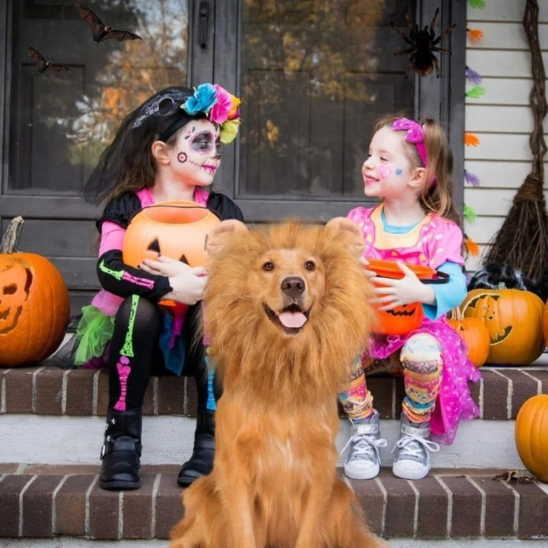 Dog Cosplay Clothes Lion