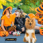 Dog Cosplay Clothes Lion