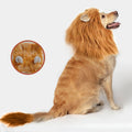 Dog Cosplay Clothes Lion