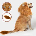 Dog Cosplay Clothes Lion